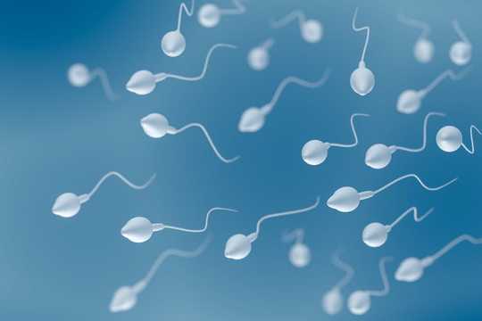 Coronavirus trouvé dans le sperme de jeunes hommes