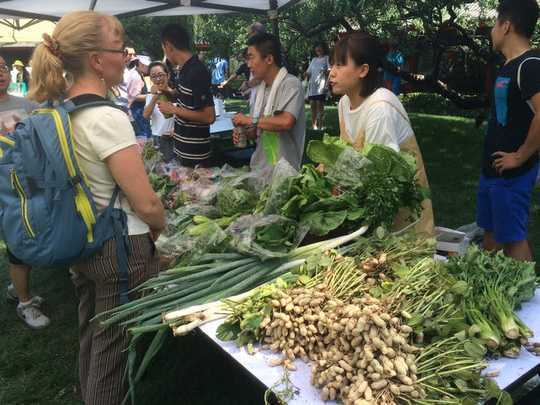 Bakit Ang Tsina Ay Lumilitaw Bilang Isang Lider Sa Sustainable At Organic Agriculture