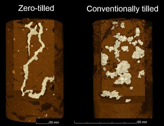 Maginoo ang mga soil na lupa ay may higit na mga bulsa ng hangin, na kung saan ay nabuo ang CO2.