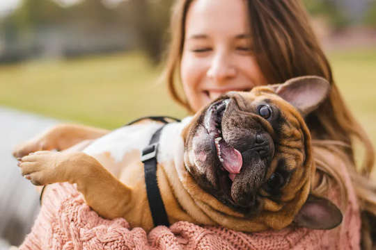 האם גורי מגפה הם משבר כלבים או משק בית מאושר?