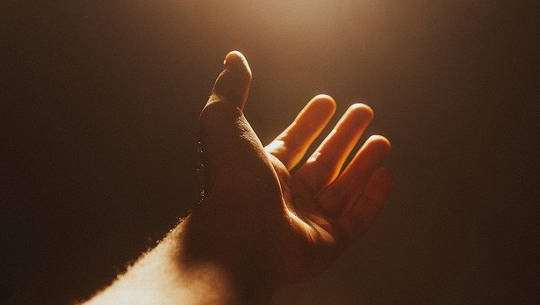 open hand reaching to the light