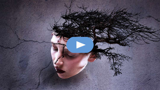 głowa kobiety ze szczeliną i drzewem wyrastającym z tyłu głowy