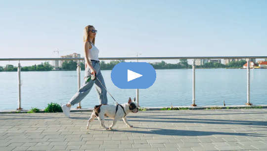 Kvinna som går med sin hund