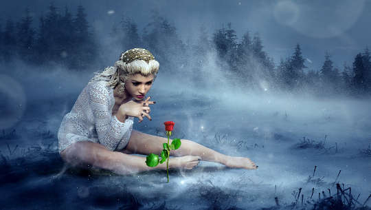一个坐在雪地里的小女孩，凝视着从雪地里长出来的一朵红玫瑰