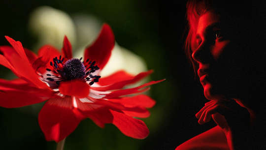 mulher olhando para uma linda flor