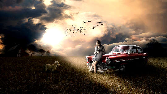 på en öde väg, kvinna som sitter tillbaka på motorhuven på sin bil med ett litet lamm som tittar på