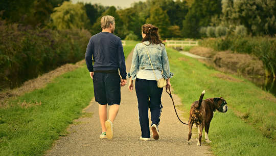 Mann, Frau und Hund an der Leine gehen einen Weg entlang