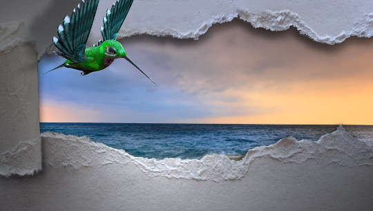 Een kolibrie die doorbreekt naar de vrijheid