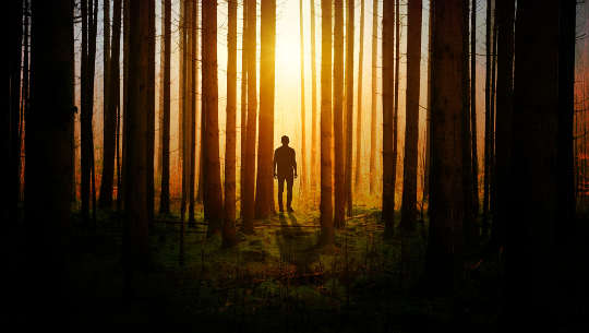 en man som står i utkanten av ljus och mörker i en skog