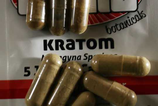 克雷托姆（Kratom）：關於有爭議草藥的風險和益處的科學發現