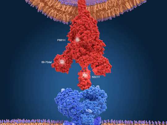 Các biến thể của Coronavirus, Sự đột biến của virus và Thuốc chủng ngừa Covid-19: Khoa học mà bạn cần hiểu
