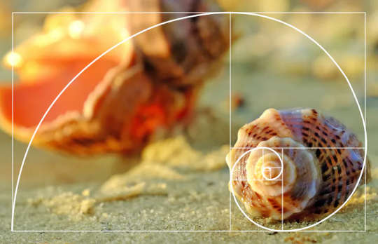The Golden Ratio Is An Ancient Greek Formula That Could Be Responsible For Most Hit Musicals