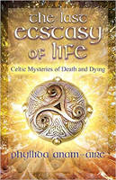sampul depan: Ekstasi Terakhir Kehidupan: Misteri Kematian dan Kematian Celtic oleh Phyllida Anam-Áire