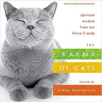 copertina del libro: The Karma of Cats: Spiritual Wisdom from Our Feline Friends by Various Autori.