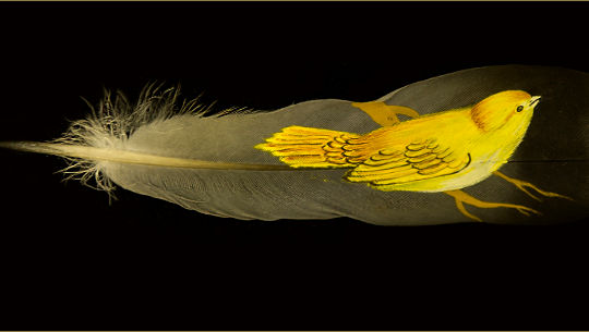 pequeno pássaro amarelo em pé sobre uma grande pena de pássaro