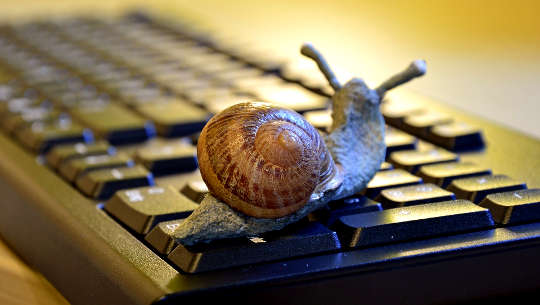 电脑键盘上的蜗牛