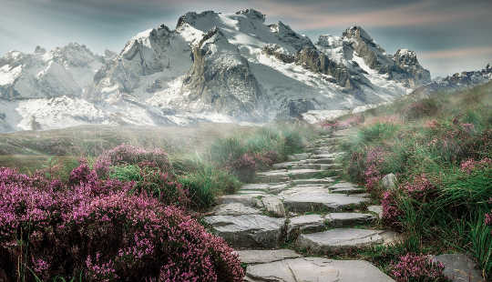 walking path with stepping stones up into the mountain