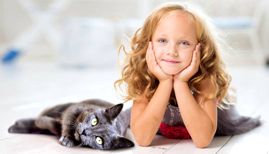 고양이와 어린 소녀