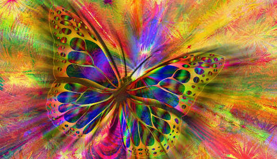 farfalla cosmica