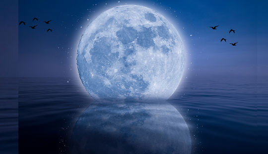 満月が水面に映る