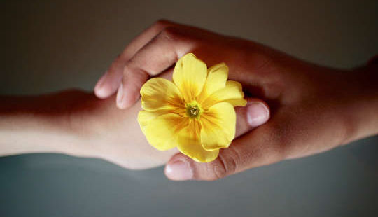 มือของคนสองคนถือดอกไม้ด้วยกัน