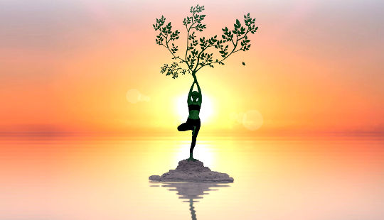 người phụ nữ trong tư thế cây yoga với một cái cây mọc trên đỉnh đầu của cô ấy