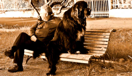 رجل وكلبه ، في مواجهة بعضهما البعض ، جالسين على مقعد في الحديقة