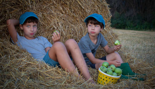 doi băieți care culeseau mere stând lângă un car de fân