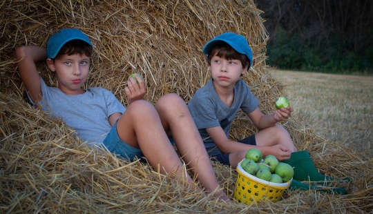 twee jonge jongens die appels aan het plukken waren bij een hooiberg