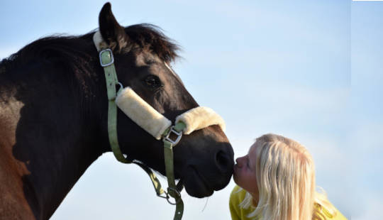 en ung flicka som kysser en häst på näsan