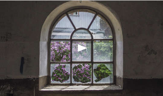 luonnonvaraisia ​​kukkia nähtynä katedraalin ikkunan rikkoutuneen lasin läpi