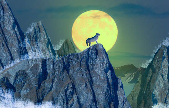 un lobo parado en la cima de una montaña frente a la luna llena