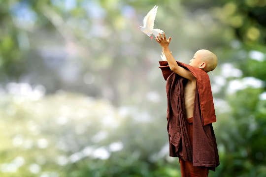 एक युवा बौद्ध लड़का एक कबूतर को आसमान में छोड़ता है