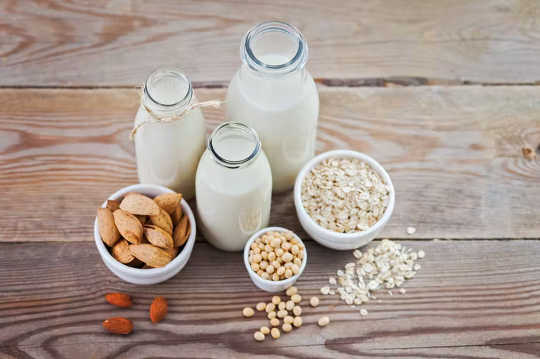 prodotti lattiero-caseari a base vegetale 5 24