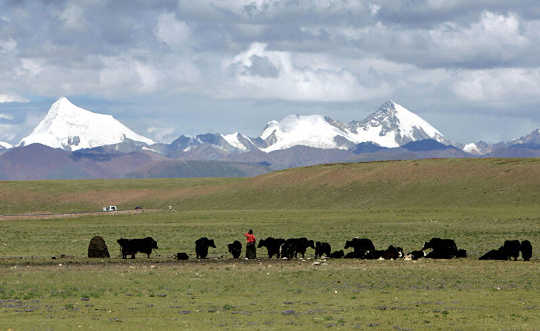 permafrost Tibet 3 28
