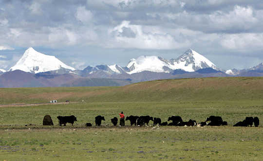 permafrost tibetano 3 28