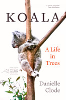 《考拉：树上的生活》封面，丹妮尔·克洛德（Danielle Clode）