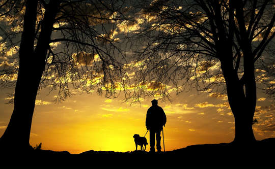 tasmalı köpeği olan bir adam gün batımına bakıyor