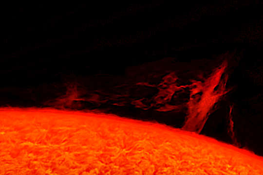 सूरज पर प्लाज्मा के पेड़ की एक तस्वीर