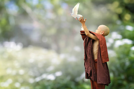 młody mnich buddyjski wypuszcza w niebo białą gołębicę