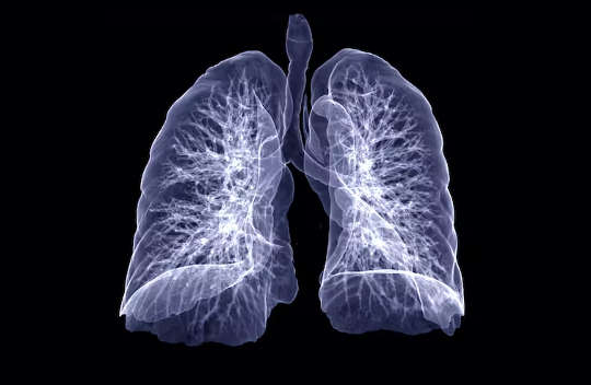 uma foto, em preto e branco, de um par de pulmões