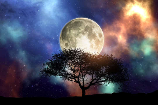 volle maan gedeeltelijk achter het silhouet van een boom