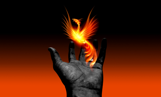 burung phoenix bangkit dari tangan terbuka