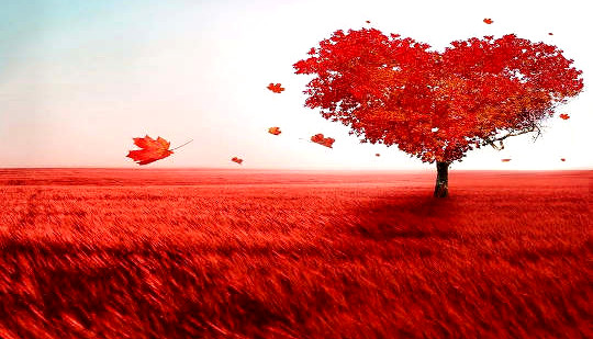 un arbre rouge en forme de coeur