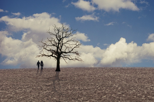 a man and woman holding hands in a barren field with a barren dried out tree