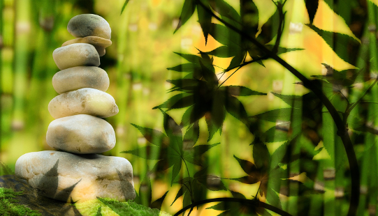 piedras blancas en equilibrio entre sí en un entorno tranquilo