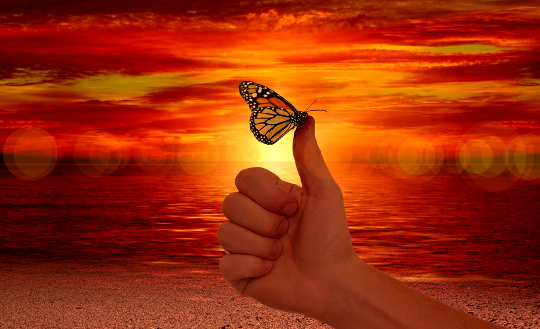 рука з метеликом, що сидить на великому пальці перед яскравим небом