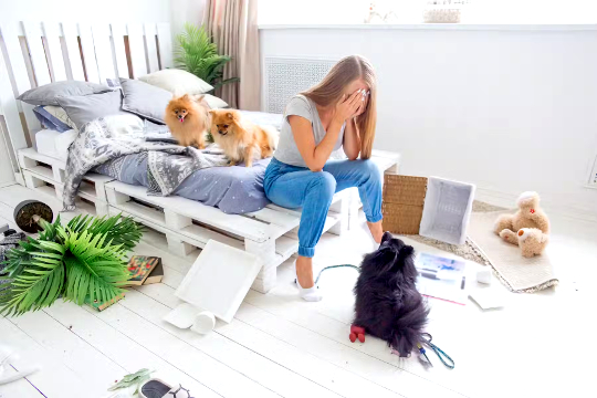 μια γυναίκα που κάθεται στην άκρη ενός κρεβατιού με δύο σκυλιά πίσω της και ένα σκυλί στα πόδια της
