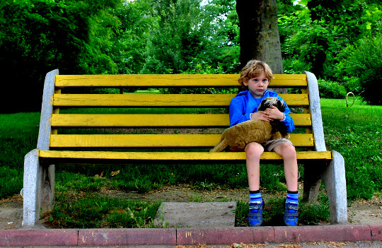 坐在长凳上抱着宠物的小男孩