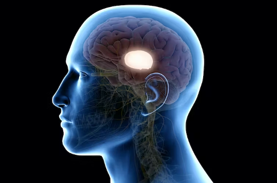 sidovy av ett huvud som visar hjärnskador